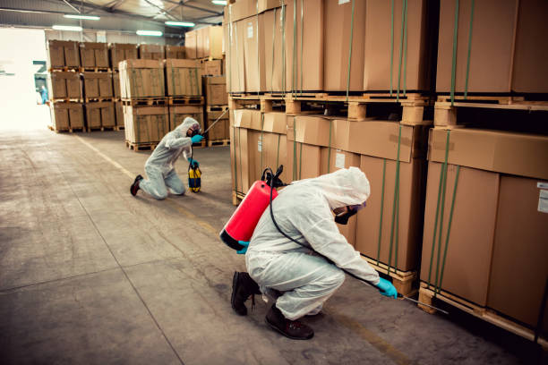 Best Cockroach Control Services  in Deland, FL