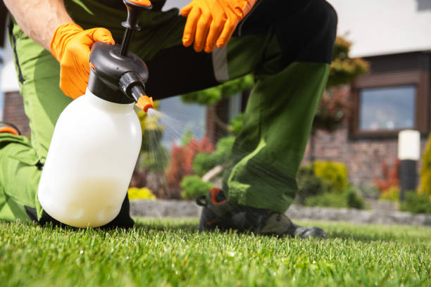 Best Spider Control Near Me  in Deland, FL
