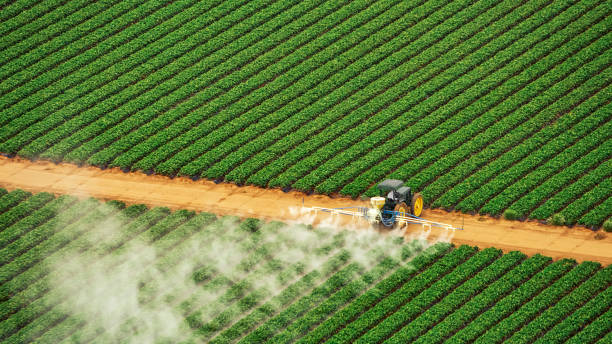 Best Pest Control Cost  in Deland, FL