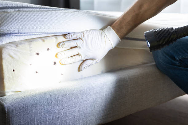 Best Commercial Pest Control Services  in Deland, FL