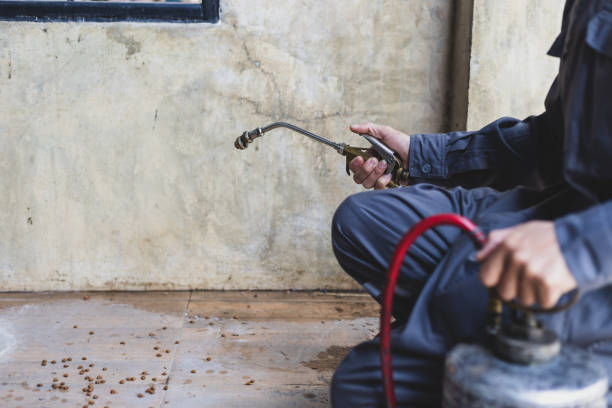 Best Best Pest Control Companies  in Deland, FL